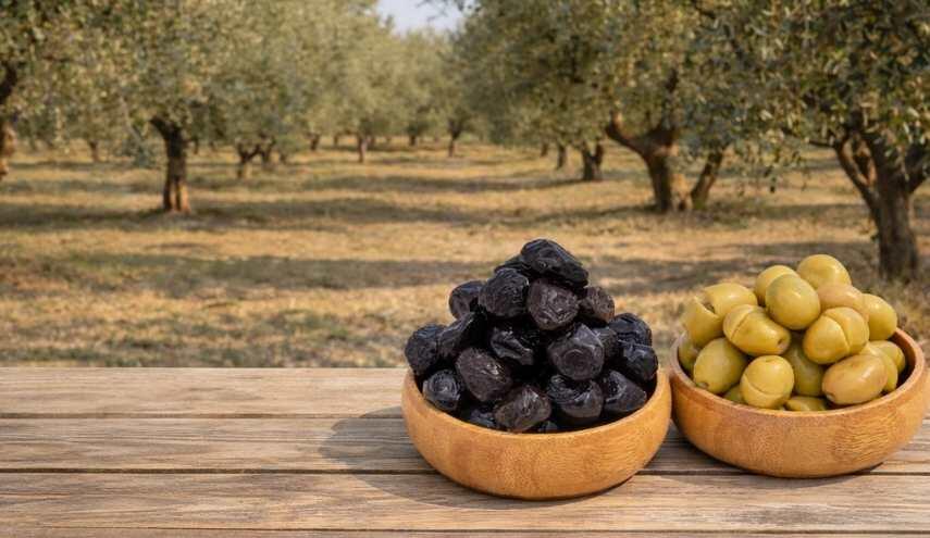 Zeytin