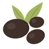 Zeytin