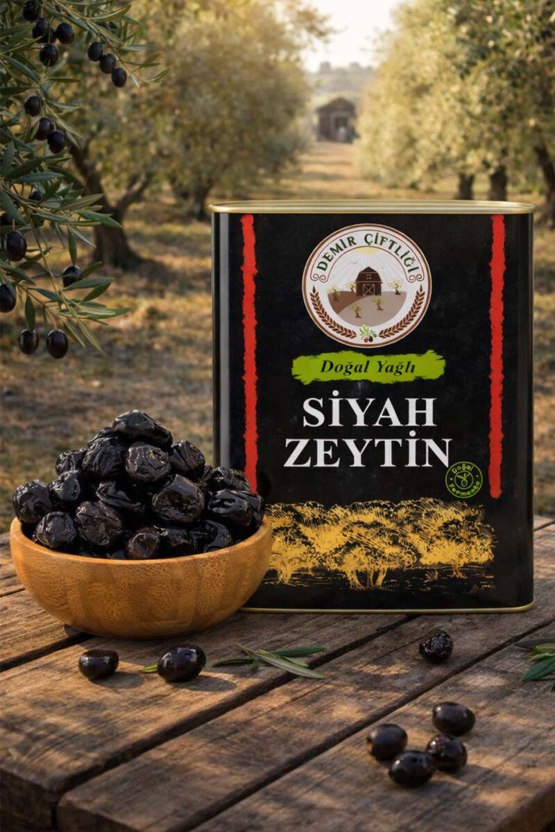 Gemlik Yağlı Sele Siyah Zeytin (261-290  Kalibre - M Boy) 10 KG - 1